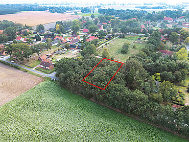 Foto 1 von 2 — Waldgrundstück 1.498 m² Forst BRW 60 Cent