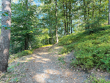 Foto 5 von 10 — Baugrundstück derzeit mit Backstein-Villa bebaut