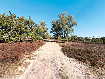 Foto 9 von 10 — Baugrundstück derzeit mit Backstein-Villa bebaut
