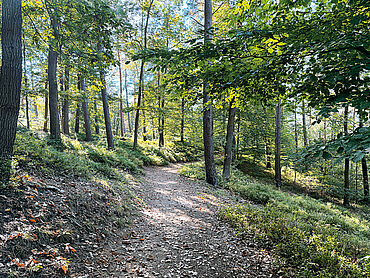 Foto 4 von 10 — Baugrundstück derzeit mit Backstein-Villa bebaut