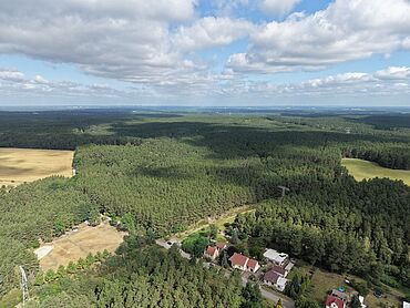Foto 1 von 2 — 8 ha Waldfläche, davon 1/4 Miteigentumsanteil