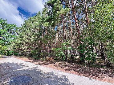 Foto 2 von 2 — 8 ha Waldfläche, davon 1/4 Miteigentumsanteil