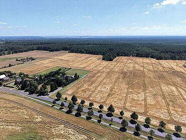 Foto 3 von 3 — 2,0 ha Landwirtschaftsflächen