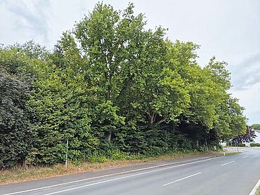 Foto 1 von 2 — Grundstück