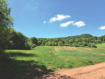 Foto 2 von 3 — Landwirtschaftsfläche