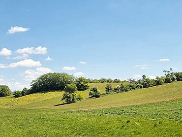 Foto 1 von 3 — Landwirtschaftsfläche