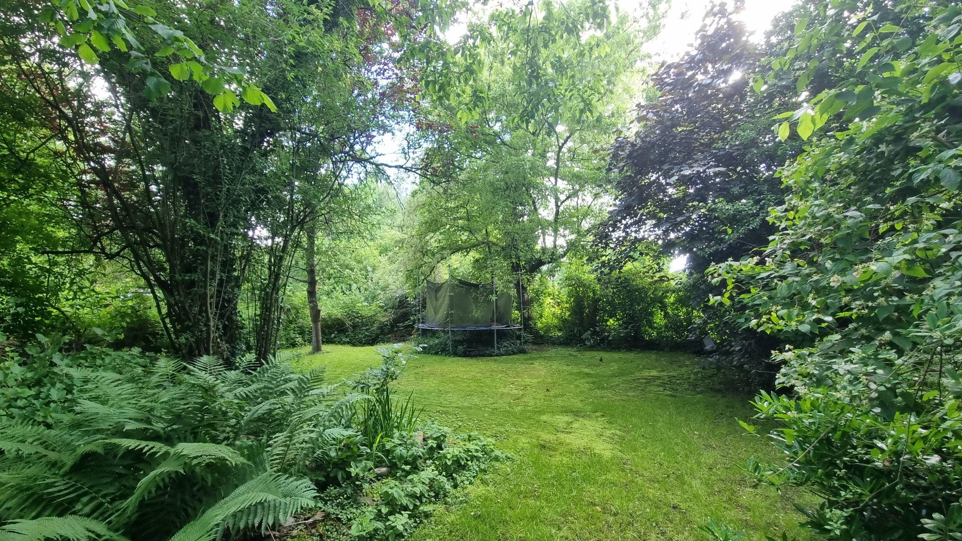 Foto 5 von 12 — Grüne Oase in urbaner Lage in Hamburg Niendorf - 960 m2 direkt an der U2 (ohne Makler)