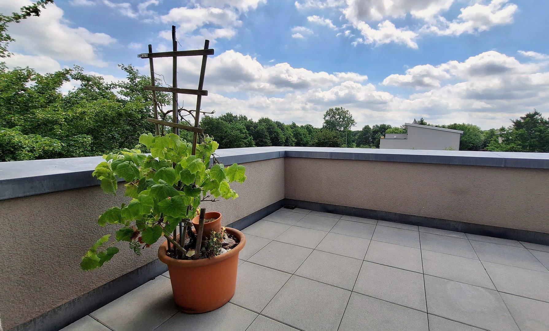 Foto 6 von 12 — Oberneuland: Neuwertiges Reiheneckhaus mit Grünblick, Dachterrasse – provisionsfrei