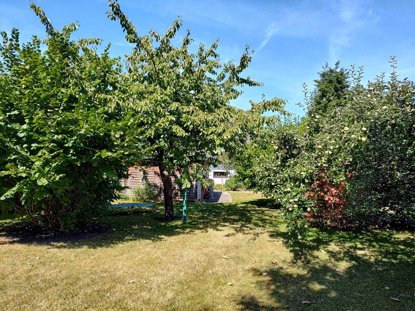Foto 7 von 12 — Einfamilienhaus mit großem Garten in Hamburg Iserbrook