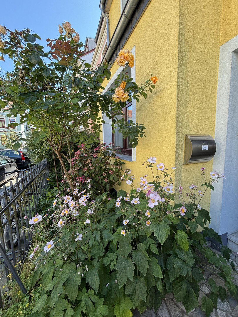 Foto 2 von 12 — Reihenmittelhaus, Seitenstraße Fesenfeld, sehr guter Sanierungsstand, ca. 102,4 m², ca. 4297,- €/m²