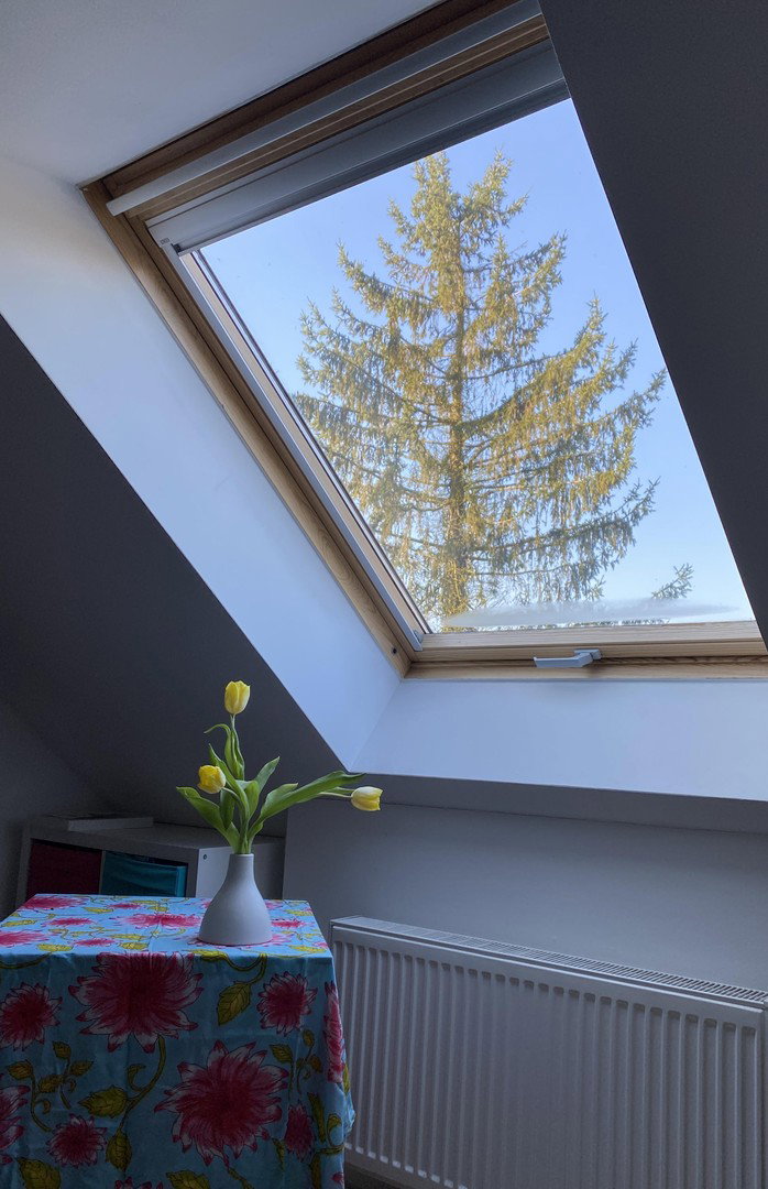 Foto 9 von 12 — Familienfreundliches Haus in der Steenkampsiedlung
