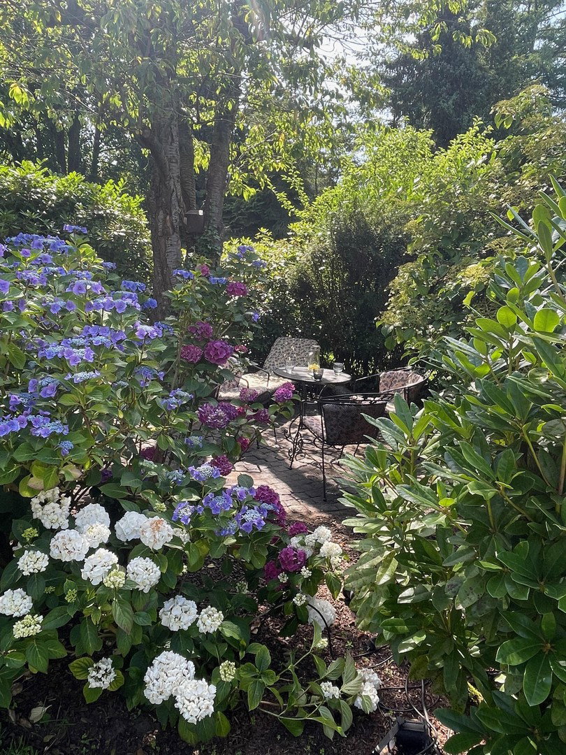 Foto 6 von 12 — Jugendstil trifft Zukunft: Grosszügige Villenhälfte m. Garten in HH-Blankenese