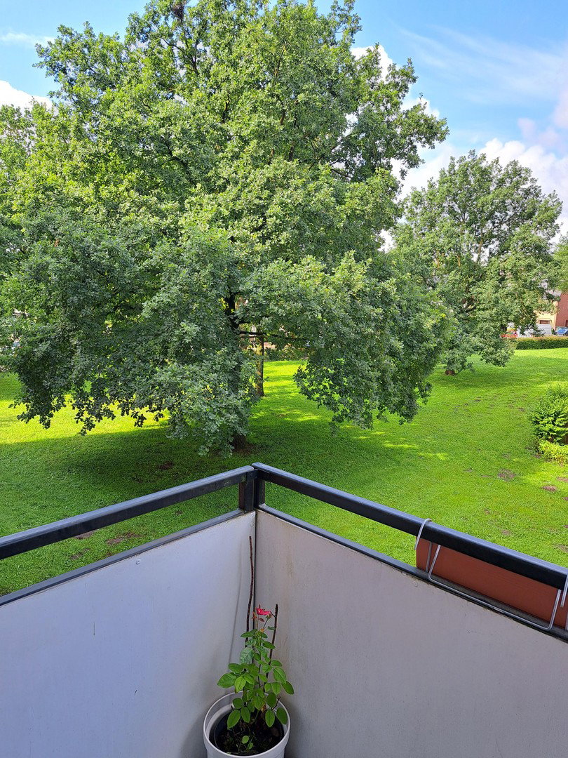 Foto 12 von 12 — *Sofort bezugsfrei* 3-Zimmer-Wohnung Ellenerbrok-Schevemoor