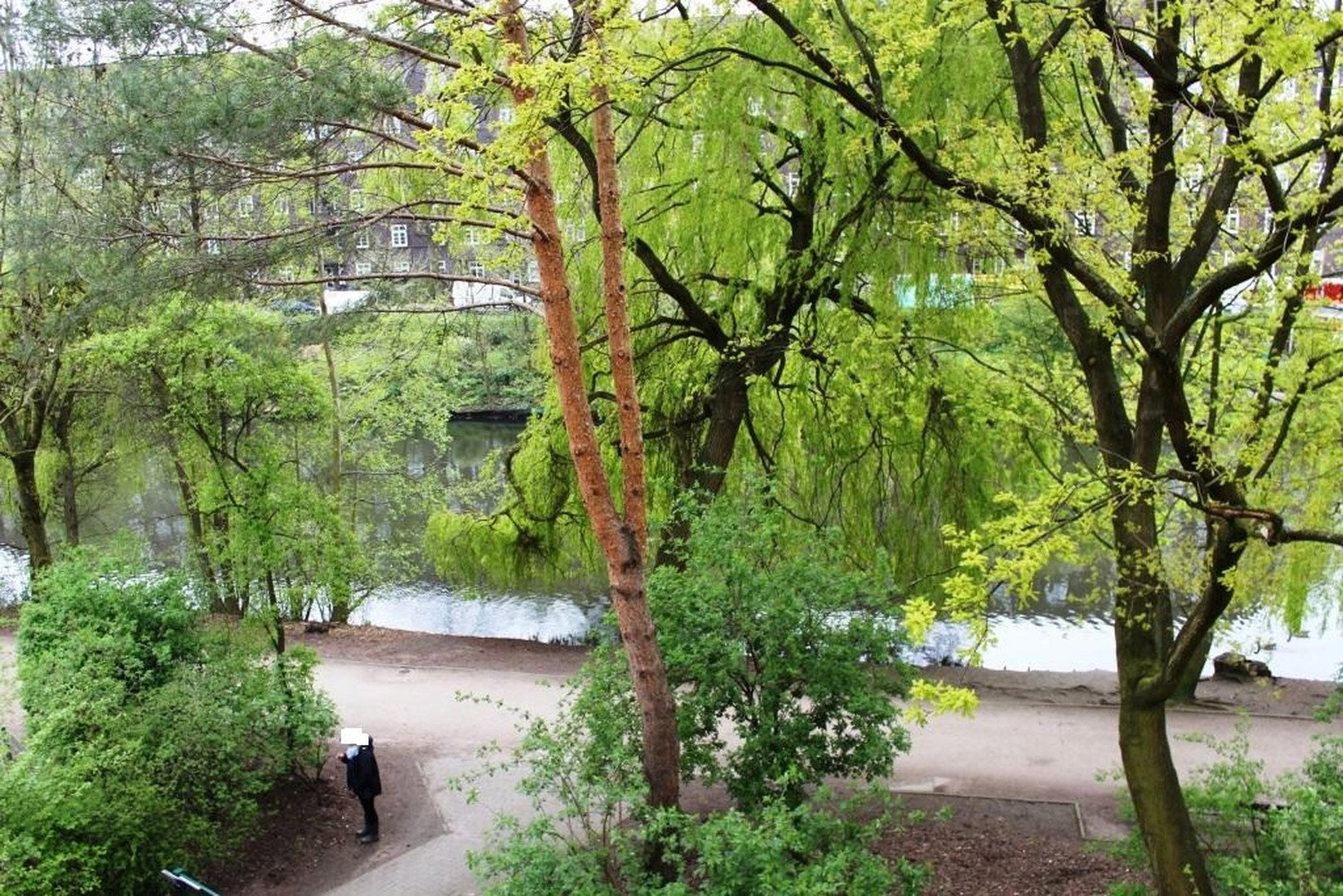 Foto 5 von 12 — Das Wasser plätschert „vor der Tür“ - Enten und Schwäne schwimmen im Wasser!
