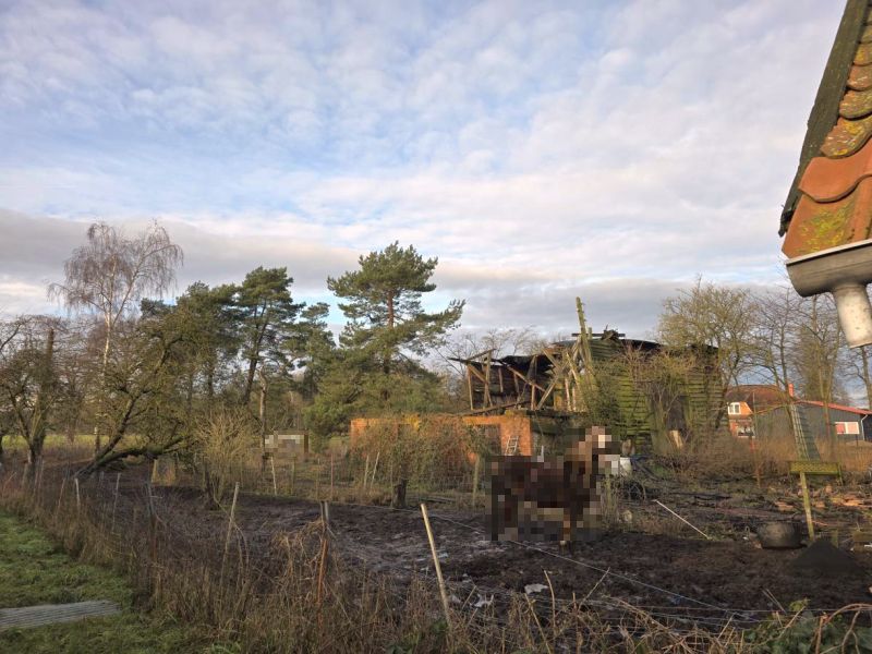 Foto 6 von 7 — Einfamilienhaus mit Nebengelass in Vellahn OT Rodenwalde