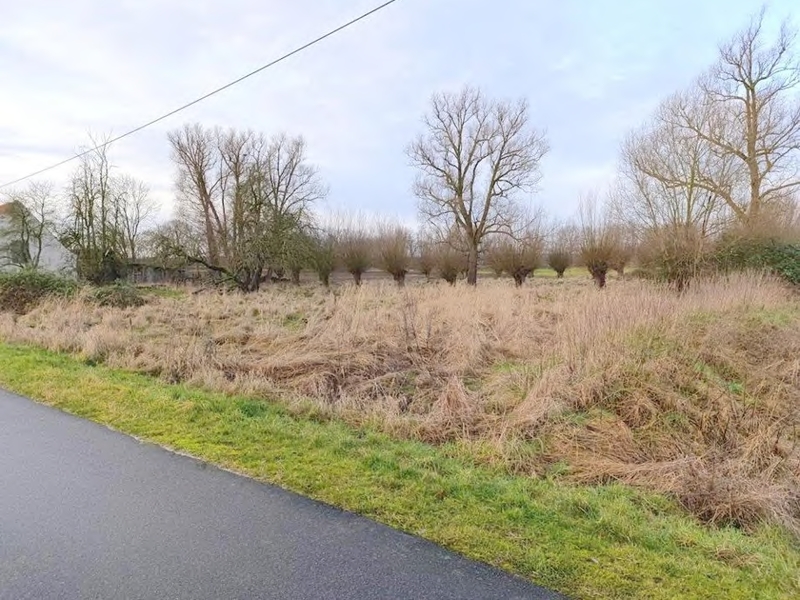 Foto 1 von 2 — Grünanlage/Fläche der Landwirtschaft in Neuenkirchen OT Kieshof-Ausbau
