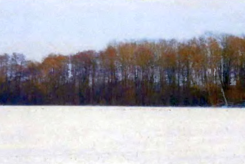 Foto 6 von 23 — Bebautes Grundstück und Waldgrundstück in Brahlstorf