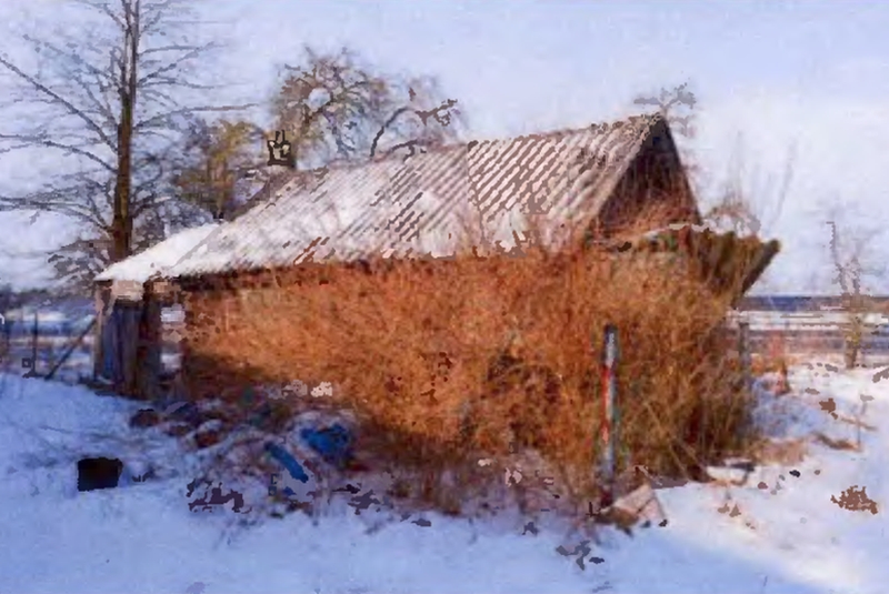 Foto 4 von 23 — Bebautes Grundstück und Waldgrundstück in Brahlstorf