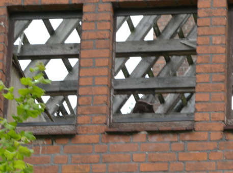 Foto 12 von 88 — Zweifamilienwohnhaus in Hamburg