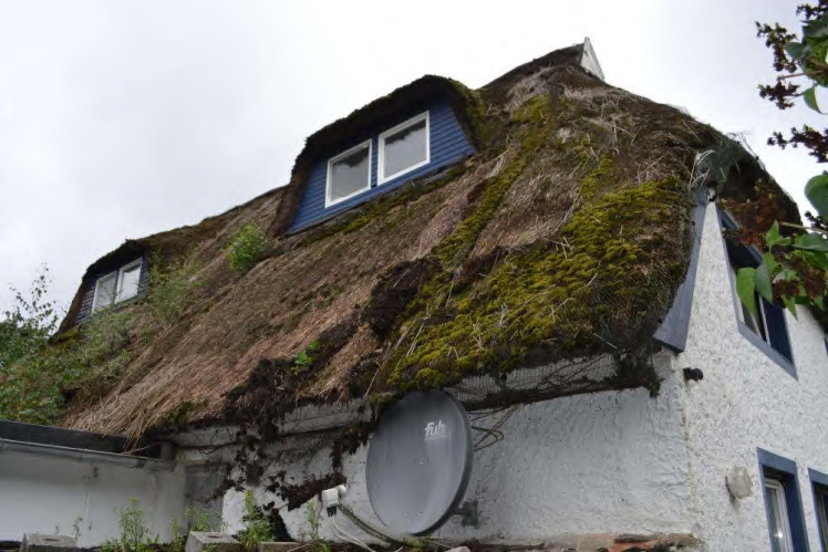 Foto 64 von 90 — Zweifamilienhaus mit Einliegerwohnung im Spitzboden in Pohnsdorf