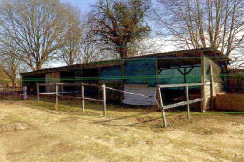 Foto 2 von 13 — Ehemaliger Gnadenhof für Tiere (Resthof) in Mehlbek