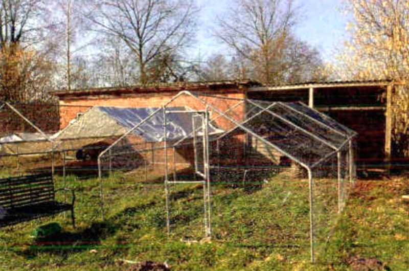 Foto 6 von 13 — Ehemaliger Gnadenhof für Tiere (Resthof) in Mehlbek