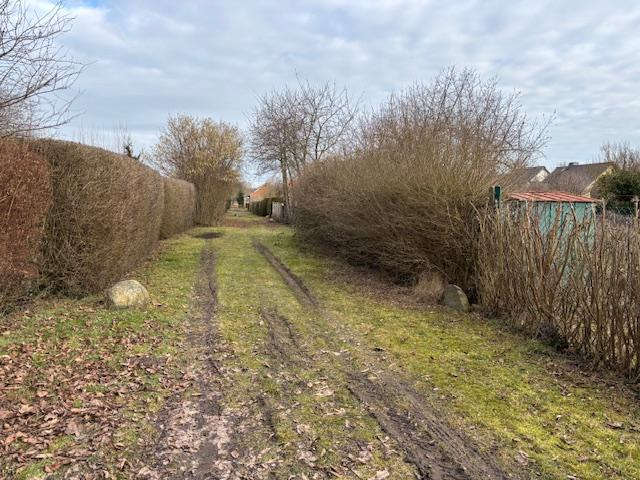 Foto 32 von 39 — Einfamilienhaus (Doppelhaushälfte) mit 2 Garagen in Siedenbollentin