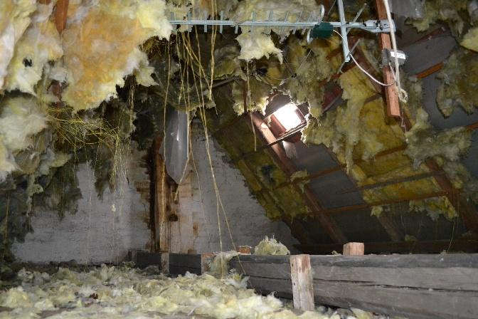 Foto 62 von 80 — Einfamiliendoppelhaushälfte mit Nebengebäude in Panker OT Darry