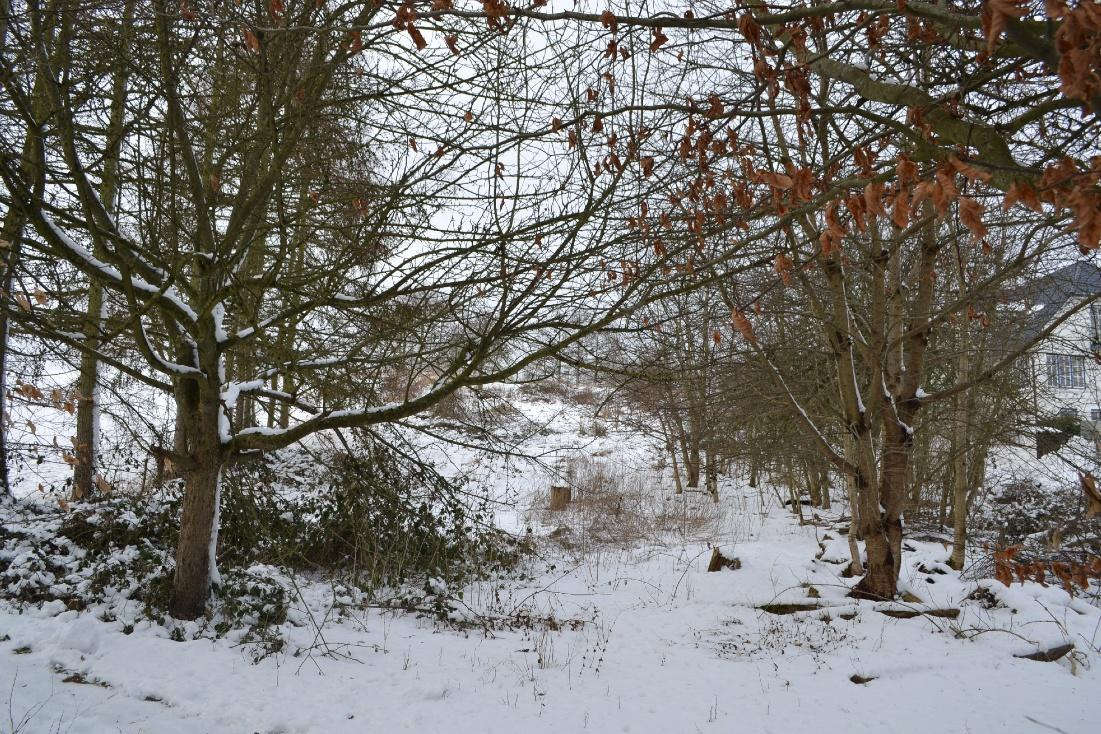 Foto 46 von 80 — Einfamiliendoppelhaushälfte mit Nebengebäude in Panker OT Darry