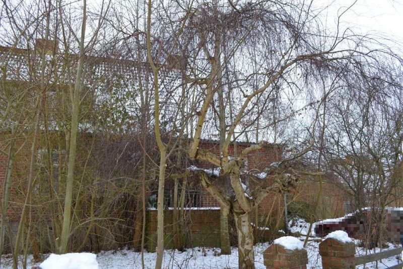 Foto 33 von 80 — Einfamiliendoppelhaushälfte mit Nebengebäude in Panker OT Darry