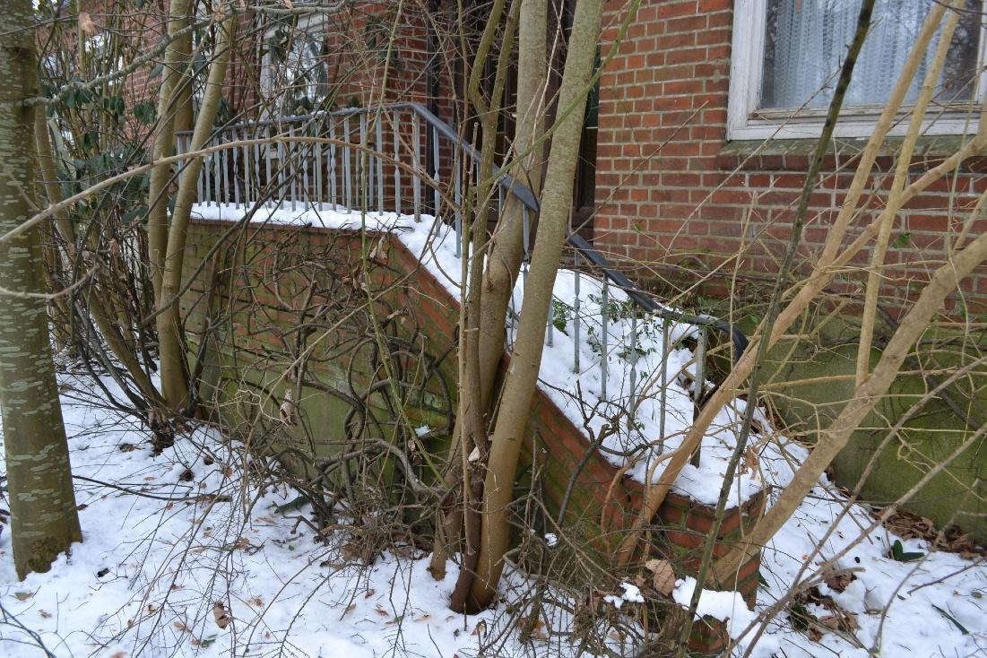 Foto 35 von 80 — Einfamiliendoppelhaushälfte mit Nebengebäude in Panker OT Darry