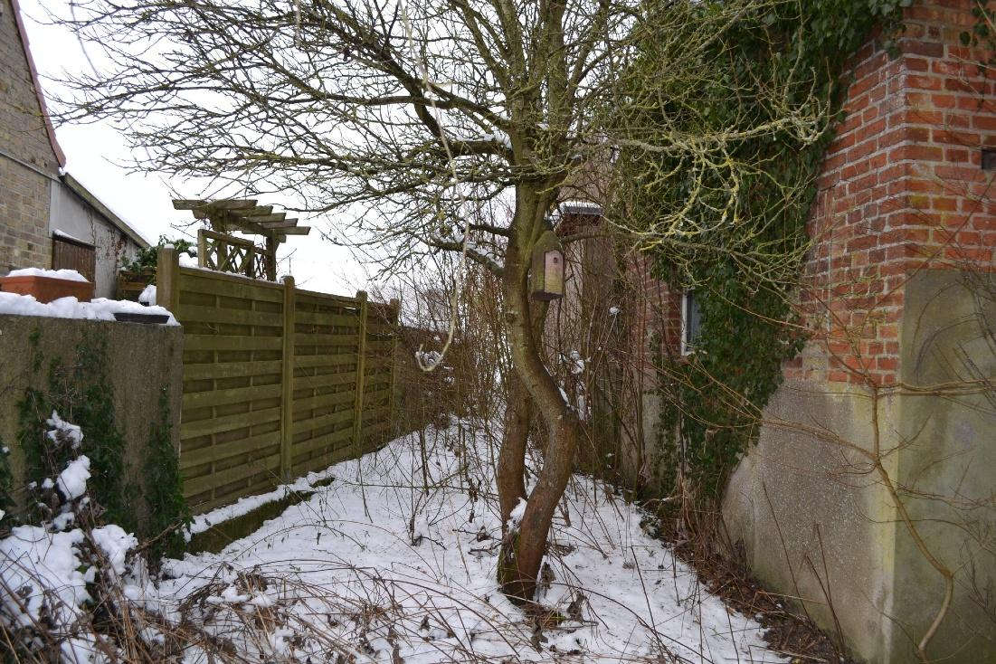 Foto 41 von 80 — Einfamiliendoppelhaushälfte mit Nebengebäude in Panker OT Darry