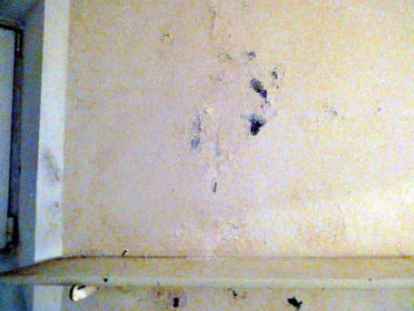 Foto 42 von 101 — Wohnungseigentum (Stadtvilla) in Hamburg