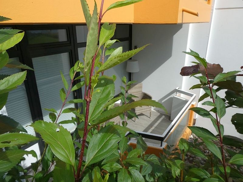 Foto 3 von 5 — 2-Zimmer-Wohnung in Scharbeutz