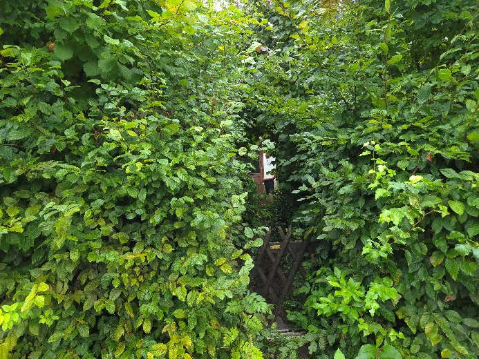 Foto 12 von 29 — Einfamilienhaus mit Fertigteilgarage in Hamburg