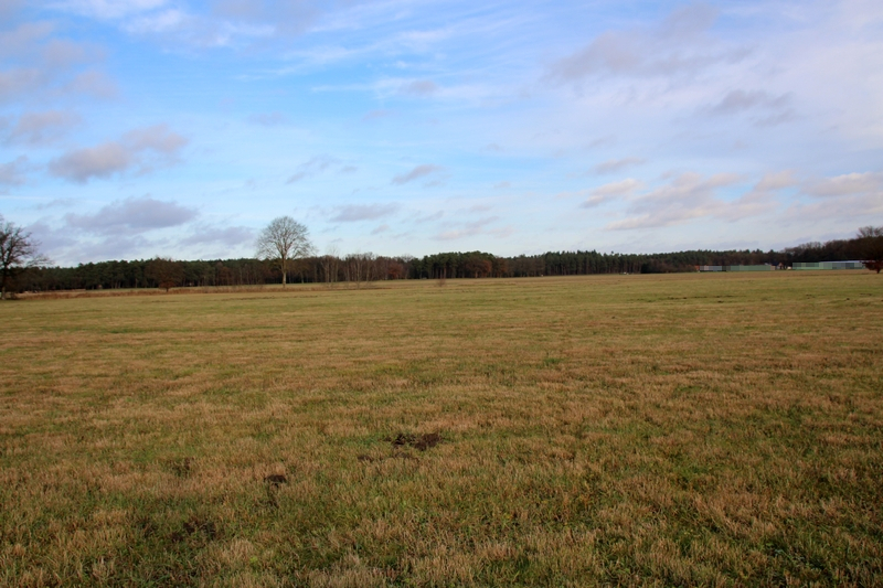 Foto 2 von 2 — Grünland in Grabow OT Winkelmoor