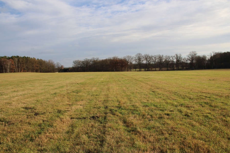 Foto 1 von 2 — Grünland in Grabow OT Winkelmoor