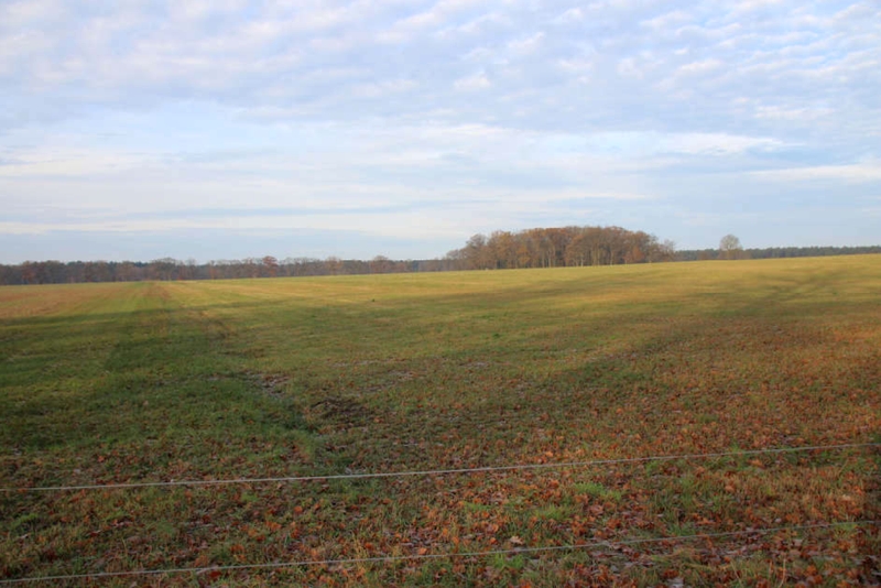 Foto 2 von 2 — Grünland in Grabow OT Winkelmoor
