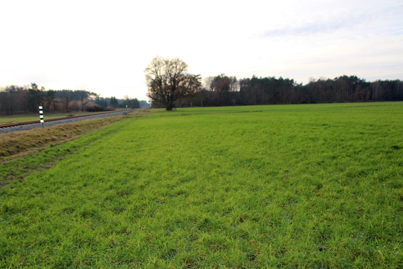 Foto 1 von 1 — Ackerland in Groß Laasch
