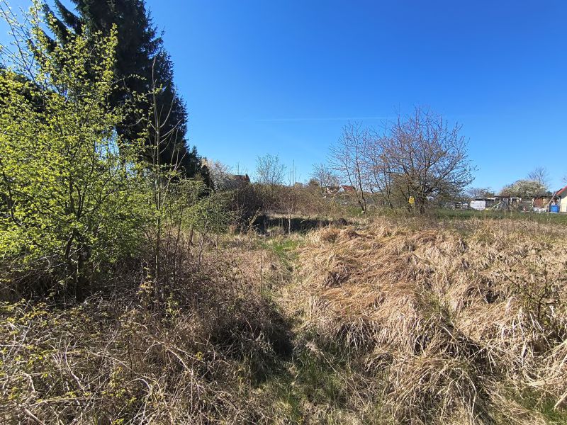 Foto 2 von 4 — Unbebautes Grundstück in Altenkirchen OT Schwarbe