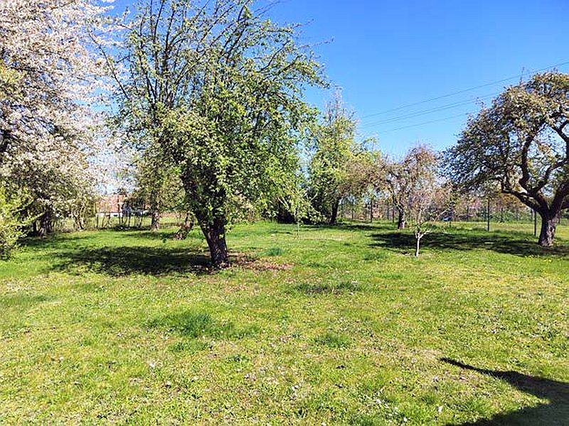 Foto 3 von 6 — Einfamilienhaus mit 2 massive Nebengebäuden in Mestlin OT Vimfow
