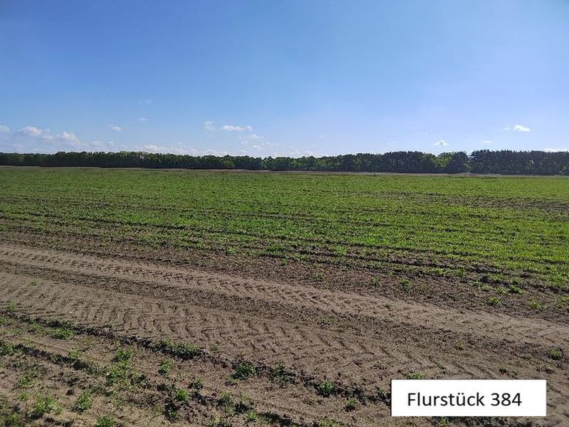 Foto 3 von 5 — Einfamilienhaus mit 2 Nebengebäuden und Ackerland in Kuhstorf