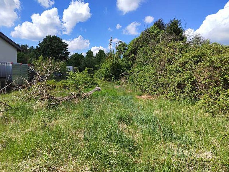 Foto 2 von 5 — Einfamilienhaus mit 2 Nebengebäuden und Ackerland in Kuhstorf