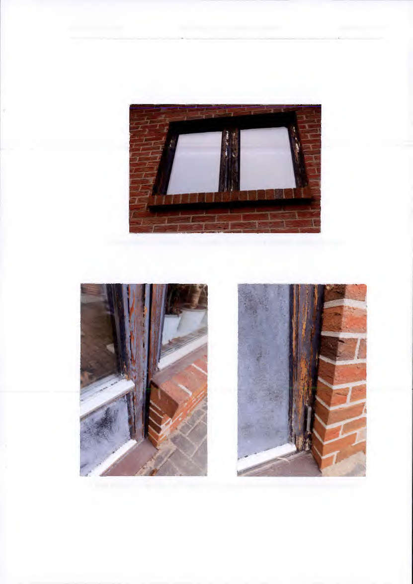 Foto 55 von 57 — Erbbaurecht, Einfamilienhaus mit Einliegerwohnung in Prohn