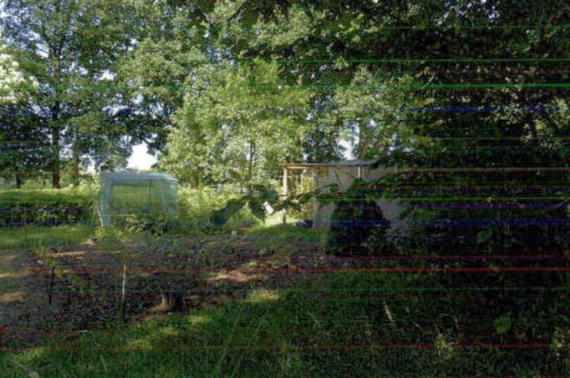 Foto 5 von 12 — Wohnhaus und angrenzendes Wirtschaftsgebäude in Kaisborstel