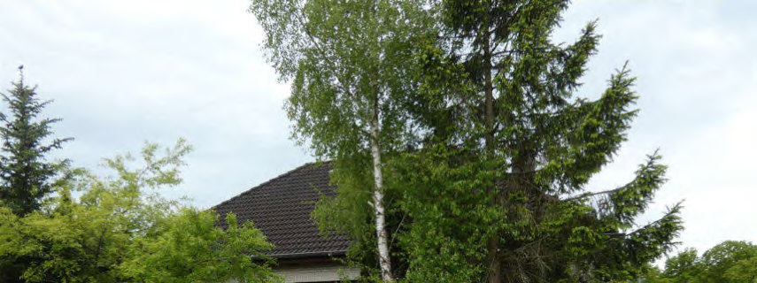Foto 5 von 8 — Einfamilienhaus nebst 2 Garagen in Hochdonn