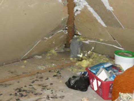 Foto 8 von 8 — Einfamilienhaus nebst 2 Garagen in Hochdonn