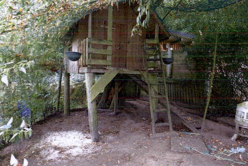 Foto 3 von 17 — Einfamilienhaus mit Nebengebäuden in Oelixdorf