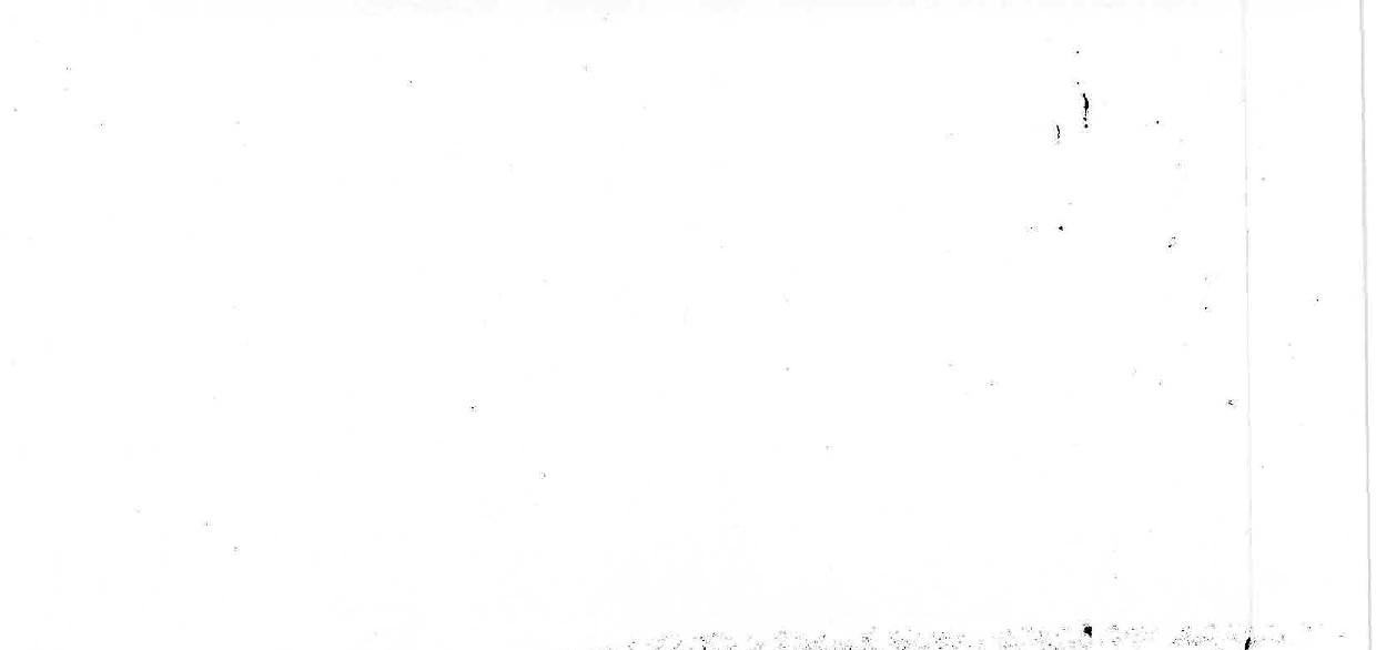 Foto 23 von 49 — Wohnungseigentum (Einfamiliendoppelhaushälfte) in Stolpe