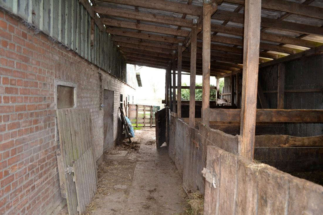 Foto 50 von 57 — Wohn-/Wirtschaftsgebäude mit 2 Nebengebäuden in Kalübbe